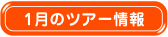 1月のツアー情報