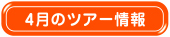 4月のツアー情報