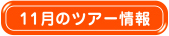 11月のツアー情報