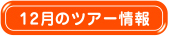 12月のツアー情報