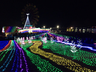 東京ドイツ村・イルミネーション