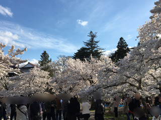 鶴ヶ城公園