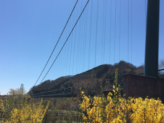 もみじ谷大吊橋