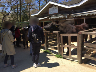 千本松牧場