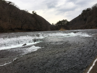 吹割の滝