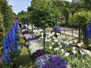 山下公園の庭園