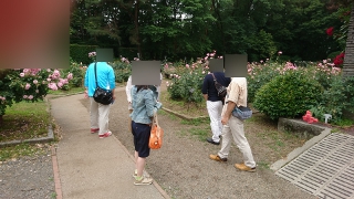 婚活ツアー井頭公園散策