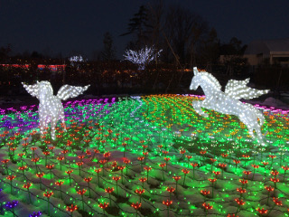 東武動物公園のイルミネーション