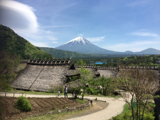 根場