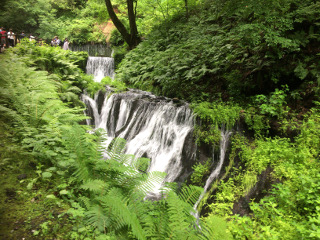 白糸の滝