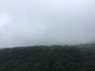 三島スカイウォークからの眺め・雨