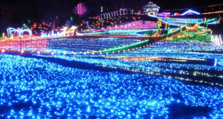 東京ドイツ村イルミ