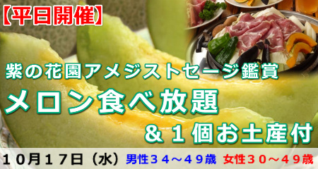 181017 紫の花園アメジストセージ鑑賞とメロン食べ放題&1個お土産