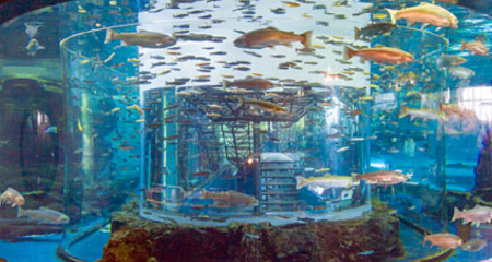 富士湧水の里水族館