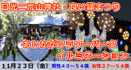 181123 日光二荒山神社・良い縁まつり参拝とあしかがフラワーパークイルミネーション
