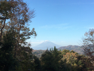 富士山と紅葉