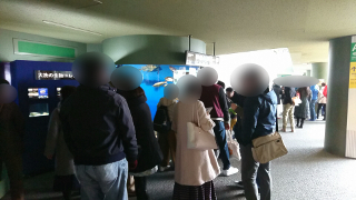 大洗水族館　婚活