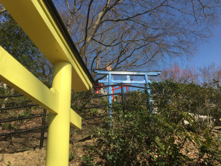 七色鳥居・織姫神社