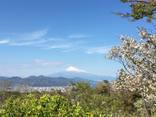 日本平夢テラスから