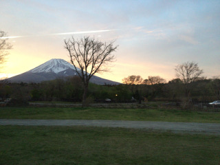 富士ナイトサファリ