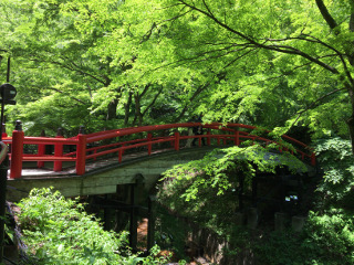 河鹿橋