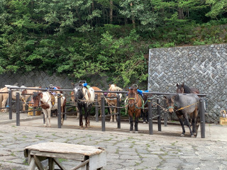 富士山五合目