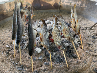 昼食の魚