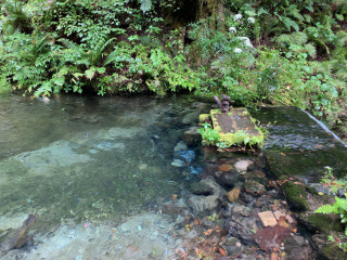 白糸の滝