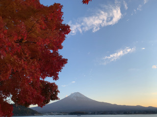 紅葉と富士山