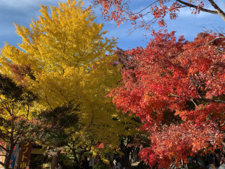 紅葉回廊