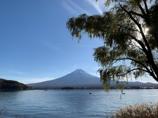 富士山と河口湖