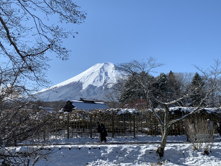 忍野八海