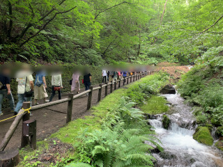 白糸の滝