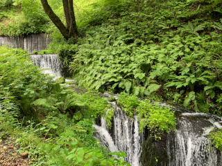 白糸の滝