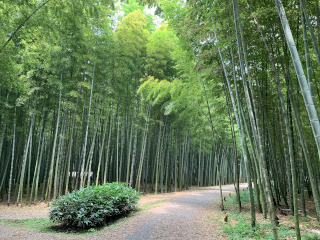 若山農場