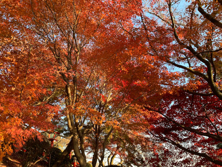 織姫神社