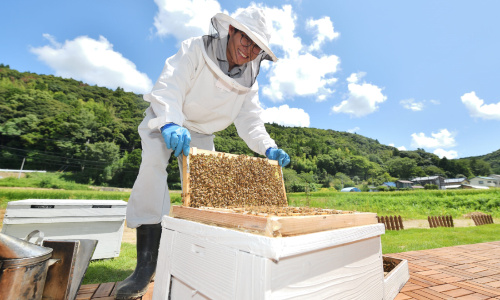 はちみつ工房