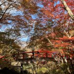 伊香保・河鹿橋