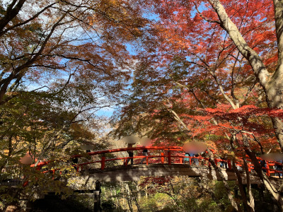 伊香保・河鹿橋