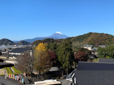 蔵屋鳴沢