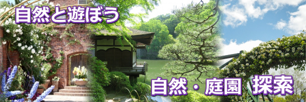 自然