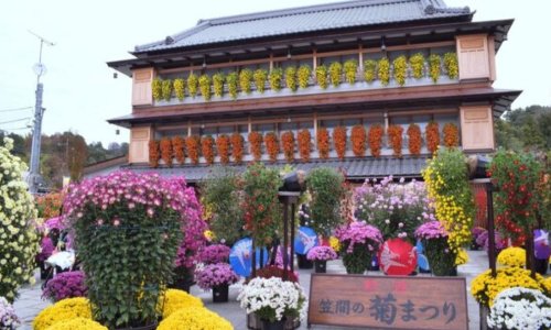 笠間稲荷・菊祭り